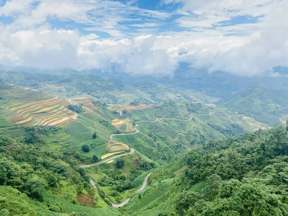 Hoang Su Phi Terraces