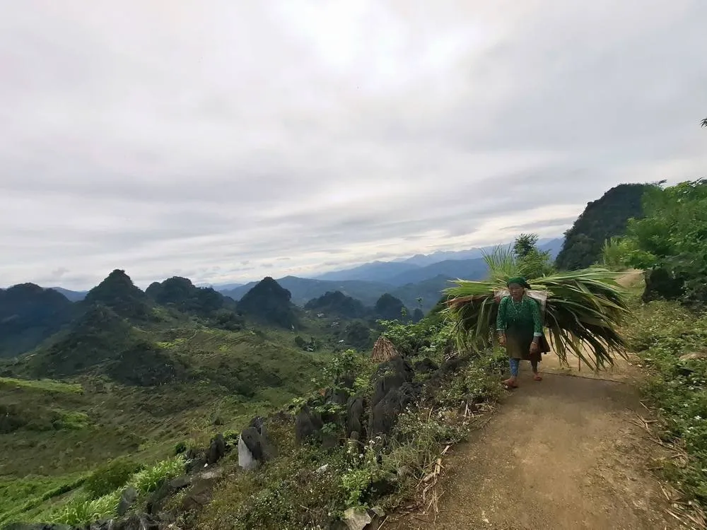 Hmong woman carrying grass on a mountain path