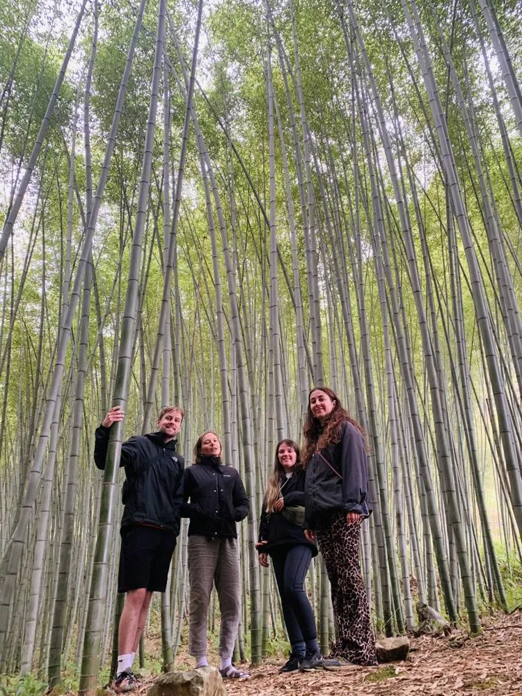 Guests in a bamboo forest